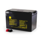 ALPHA ELETTRONICA - Batteria ricaricabile Litio LiFePO4 12,8V 100Ah con BMS - BT - Riscaldatore