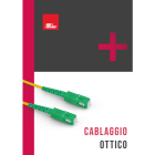 ALPHA ELETTRONICA - Guida ai prodotti - Fibra Ottica 2021