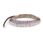 ALPHA ELETTRONICA - Striscia Led 120 Led/m 3535 - 24Vdc - 14,4W/m - RGB