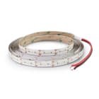 ALPHA ELETTRONICA - Striscia Led 266 Led/ m 2216 - 24Vdc - 19,2W/m - Bianco caldo
