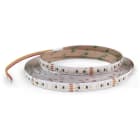 ALPHA ELETTRONICA - Striscia Led 120 Led/m 3528 - 24Vdc - 19,2W/m - CCT regolabile 30006000K