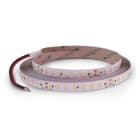 ALPHA ELETTRONICA - Striscia Led 112 Led/m 2835 1W - 24Vdc - 19,2W/m - Bianco Freddo
