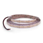 ALPHA ELETTRONICA - Striscia Led 224 Led/m 5630 - 24Vdc - 38W/m - Bianco freddo
