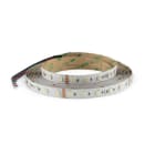 ALPHA ELETTRONICA - Striscia Led 60 Led/m 5050 - 24Vdc - 14,4W/m - RGBW Bianco naturale
