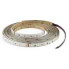 ALPHA ELETTRONICA - Striscia Led 60 Led/m 5050 - 24Vdc - 14,4W/m - RGBW Bianco caldo