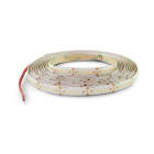 ALPHA ELETTRONICA - Striscia Led 240 Led/m 2835 - 24Vdc - 19,2W/m - Bianco caldo 3000K