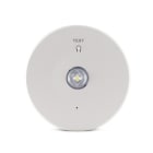 ALPHA ELETTRONICA - Faretto d'emergenza led 1,2W - 230Vac - IP20 - Lente fascio ampio - Serie Ghost