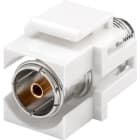 ALPHA ELETTRONICA - Keystone antenna TV IEC femmina con presa F 96-135