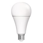ALPHA ELETTRONICA - Lampadina a Led E27 - 20W - 230Vac - Bianco freddo LBA80/20-1PW