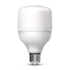ALPHA ELETTRONICA - Lampadina a Led E27 T80 - 20W - 230Vac - Bianco naturale LST80/20NW