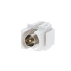 ALPHA ELETTRONICA - Keystone antenna TV IEC maschio con presa F