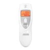Miniatura Immagine principale 1