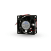 Miniatura Immagine principale 1