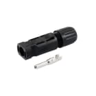 ALPHA ELETTRONICA - Connettore Maschio Volante - 1000V - Per cavo 4-6mm²
