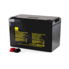 ALPHA ELETTRONICA - Batteria ricaricabile Litio LiFePO4 12,8V 100Ah con BMS - BT - Riscaldatore