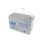 ALPHA ELETTRONICA - Batteria al piombo 12V 100Ah - AGM