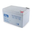 ALPHA ELETTRONICA - Batteria al piombo 12V 12Ah - AGM