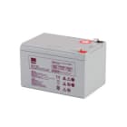 ALPHA ELETTRONICA - Batteria piombo VRLA 12V per UPS - 48W/cel x 6 = 288W