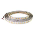 ALPHA ELETTRONICA - Striscia Led 126Led/ m 5630 - 24Vdc - 14,4W/m - Bianco freddo