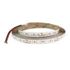 ALPHA ELETTRONICA - Striscia Led 112 Led/m 2835 0,5W - 24Vdc - 16,8W/m - Bianco freddo