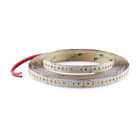 ALPHA ELETTRONICA - Striscia Led 176 Led/m 2835 1W - 24Vdc - 23W/m - Bianco Freddo