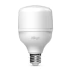 ALPHA ELETTRONICA - Lampadina a Led E27 T80 - 20W - 230Vac - Bianco naturale