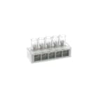 ARNOCANALI - MORSETTO UNIPOLARE 5 FORI X 16 MMQ