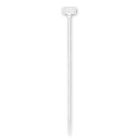 ARNOCANALI - FASCETTA TARGHETTA 100X2,5