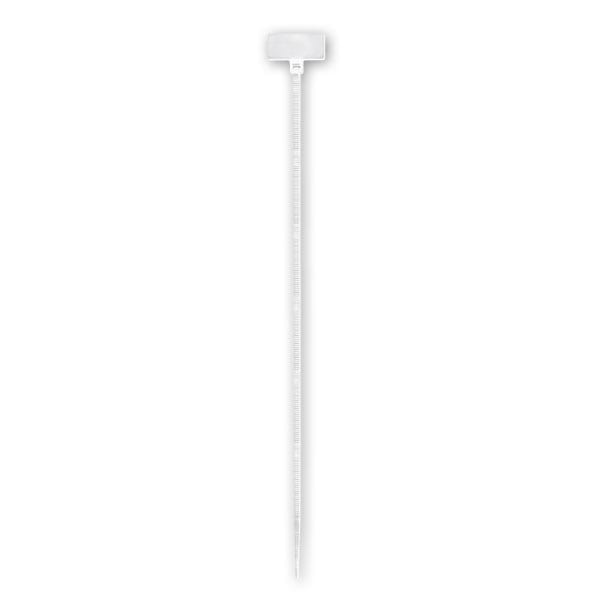 ARNOCANALI - FASCETTA TARGHETTA 100X2,5