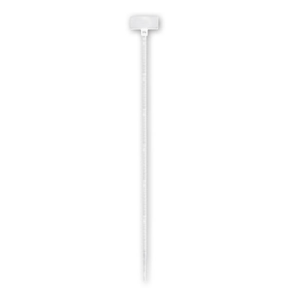 ARNOCANALI - FASCETTA TARGHETTA 200X2,5