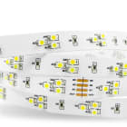 ARTELETA INTERNATIONAL - 5M STRISCIA BIANCO DINAMICO 7,2W