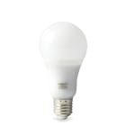 ARTELETA INTERNATIONAL - LAMPADA LED G65 E27 12W 2700K