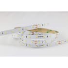 ARTELETA INTERNATIONAL - 5M STRISCIA 12V 14.4W 6000K IP20 BLR.160.W