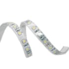 ARTELETA INTERNATIONAL - 5M STRISCIA 24V 14.4W 6000K IP68 FLR.165.W