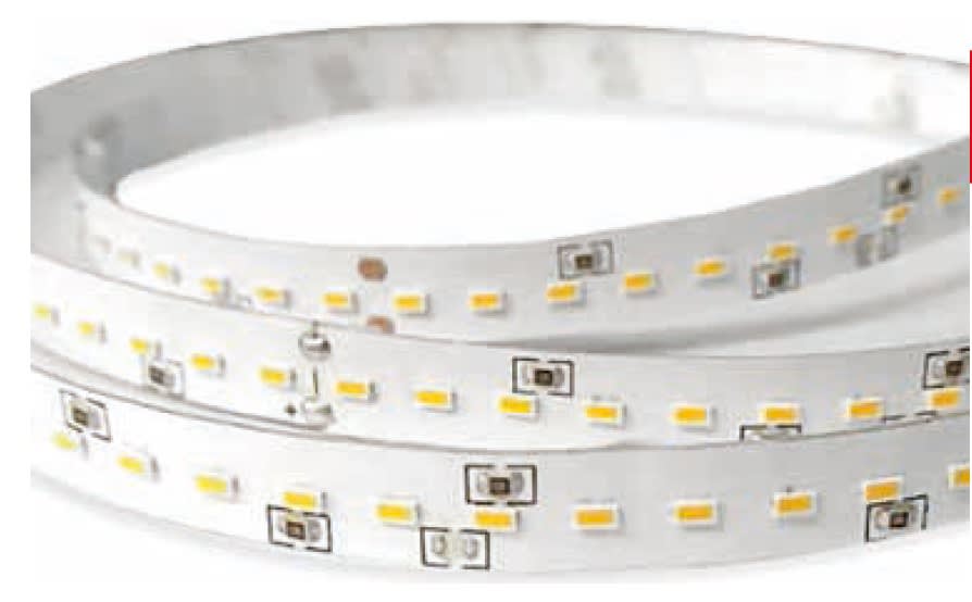 ARTELETA INTERNATIONAL - 5M STRISCIA 24V 12.6W 2700K IP20 FLR.314.XW