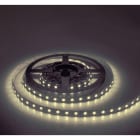 ARTELETA INTERNATIONAL - 5M STRISCIA LED 24V 30W 2500K IP20 FLR.560.XW