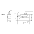 ASITA - INTERRUTTORE FINE CORSA