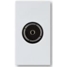 AVE - Presa coassiale IEC femmina ingresso F RAL, ideale per connessioni sicure e affidabili.