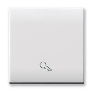 AVE - Tasto simbolo Chiave Domus S44. colore RAL 9010  finitura lucida  2 Mod.