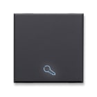 AVE - Tasto simbolo Chiave Tekla S44. colore grigio Tekla finitura opaca 2 Mod. 445TKP/2