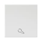 AVE - TASTO SIMBOLO CHIAVE WHITEK S44. COLORE BIANCO FINITURA OPACA 2 MOD.