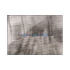 AVE - Placca Youmg Touch. S44 tecnopolimero colore onice 3D 3 comandi a scomparsa 3 Mod.