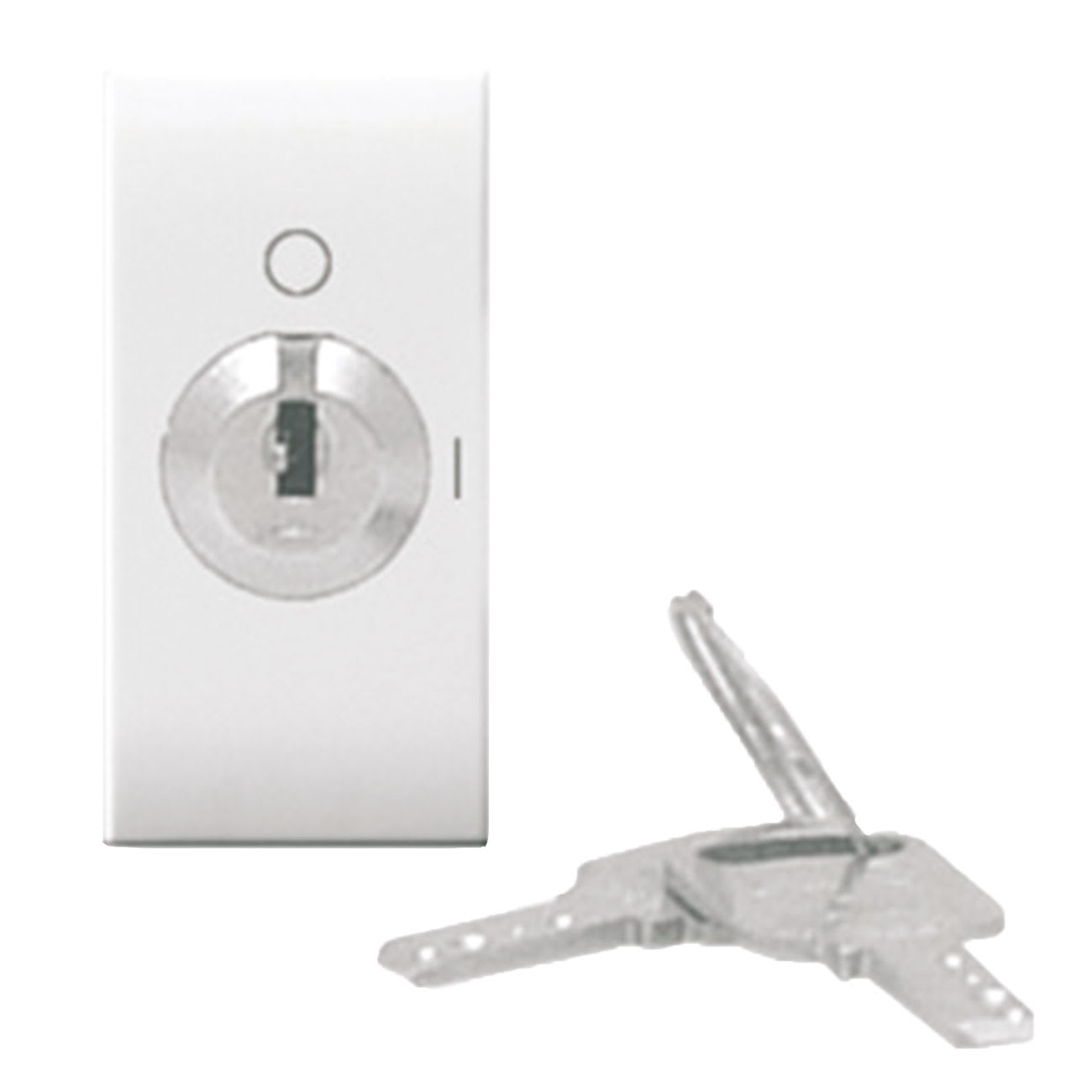 AVE - PULSANTE A CHIAVE. DOMUS S44. COLORE RAL 9010. 2P 10A 250V  FINITURA LUCIDA  1 MOD.