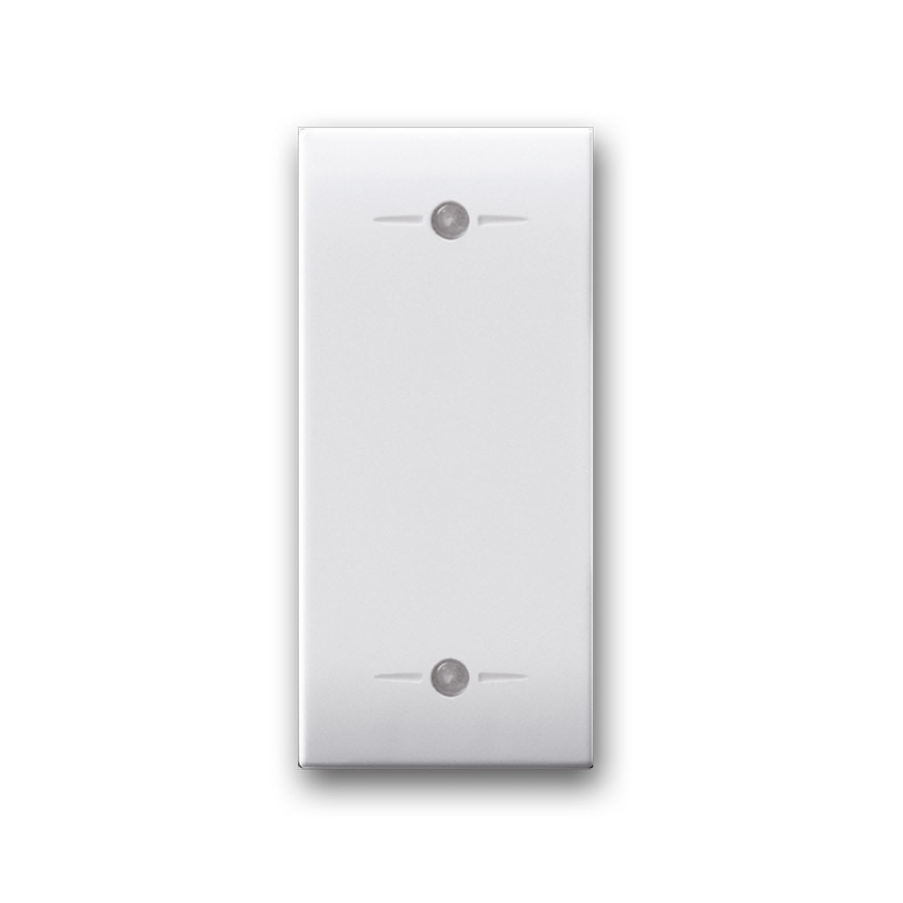 AVE - Tasto intercambiabile. due funzioni  Domus  1 Mod. S44