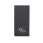 AVE - Tasto simbolo Chiave Tekla S44. colore grigio Tekla finitura opaca 1 Mod.