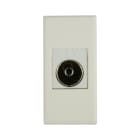 AVE - Presa TV femmina. WHITEK S44. colore bianco finitura opaco 1 Mod.