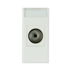 AVE - Presa TV/SAT femmina. WHITEK S44. colore bianco finitura opaca 1 Mod.