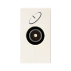 AVE - Presa tv sat Blanc S45 colore RAL 1013. diretta maschio 1 Mod.