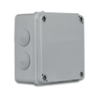 AVE - Scatola IP65 di derivazione da parete con passacavi Dimensioni (L H P): 100 X 100 X 50 mm