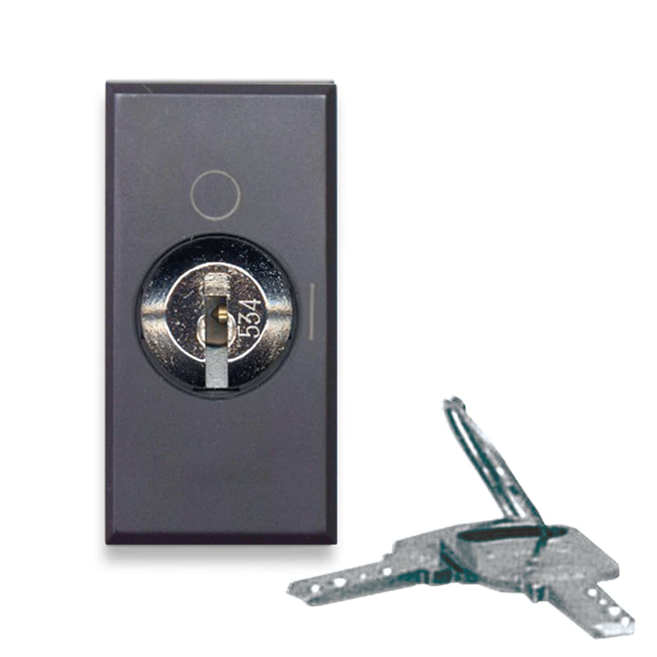 AVE - Pulsante a chiave. Tekla S44. colore grigio Tekla. 2P 10AX 250V  finitura opaca  1 Mod. 445075